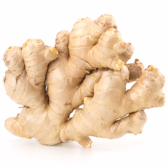 Ginger